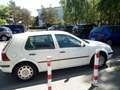 Volkswagen Golf Golf 1.4 Weiß - thumbnail 1