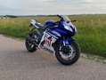 Yamaha YZF-R6 R6 Bleu - thumbnail 9