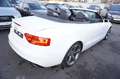 Audi A5 Cabriolet 1.8 TFSI*S-Line*Bi-Xenon*Navi*19"++ Blanc - thumbnail 7