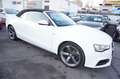 Audi A5 Cabriolet 1.8 TFSI*S-Line*Bi-Xenon*Navi*19"++ Blanc - thumbnail 29