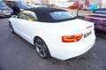 Audi A5 Cabriolet 1.8 TFSI*S-Line*Bi-Xenon*Navi*19"++ Blanc - thumbnail 27