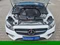 Mercedes-Benz E 53 AMG 4MATIC+*Multibeam*Pano*360°*Holz*Night* Weiß - thumbnail 15