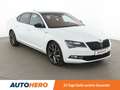 Skoda Superb 1.4 TSI ACT Ambition Aut.*NAVI*XENON*PDC*SHZ*ACC* Blanc - thumbnail 8