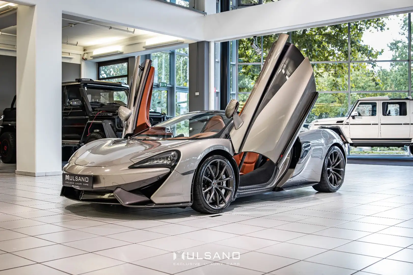 McLaren 570S Spider CARBON KERAMIKBREMSE NAVI MSO KAMERA Grijs - 1