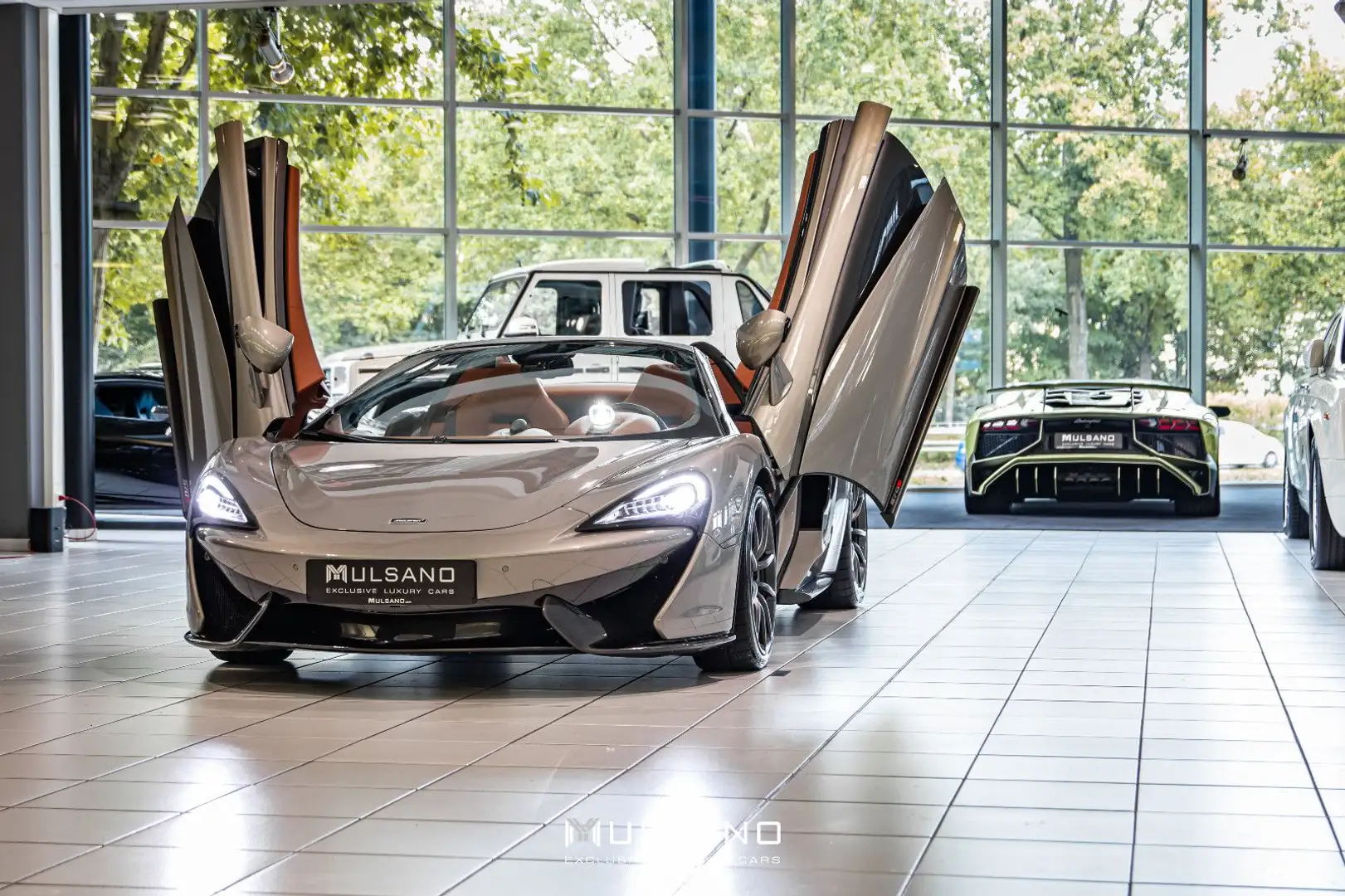 McLaren 570S Spider CARBON KERAMIKBREMSE NAVI MSO KAMERA Grijs - 2