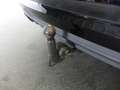 Audi A4 Avant 35 TDI S-tronic *LED, NAVI, RFK* Schwarz - thumbnail 15