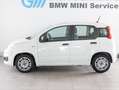 Fiat Panda Panda 1.0 firefly hybrid s Bianco - thumbnail 2