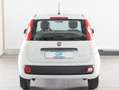 Fiat Panda Panda 1.0 firefly hybrid s Bianco - thumbnail 7