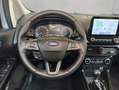 Ford EcoSport ECOSPORT 1.0 EB ACTIVE GJR*Kamera*Leder*Winterpk. Gris - thumbnail 7