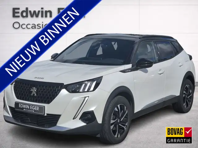 Peugeot 2008 1.2 PureTech GT-Line | D.RIEM Vervangen | Trekhaak