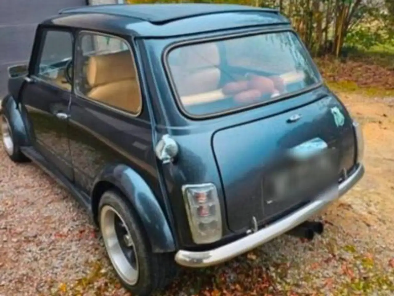 MINI 1000, foto 2