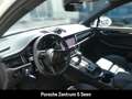 Porsche Macan III, 18-WEGE, PANO, PDLS+ , 21-ZOLL, ACC Blanco - thumbnail 11