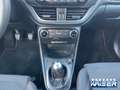 Ford Puma ST-Line AHK abnehm.Navi Kamera get. Seitenscheiben Blau - thumbnail 14