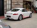 Porsche Cayman Cayman S 'Cup' 1 of 40 Cayman Cup France Wit - thumbnail 19