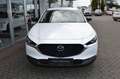 Mazda CX-30 2.5L e-SKYACTIV G 140ps Wit - thumbnail 3