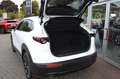 Mazda CX-30 2.5L e-SKYACTIV G 140ps Wit - thumbnail 7