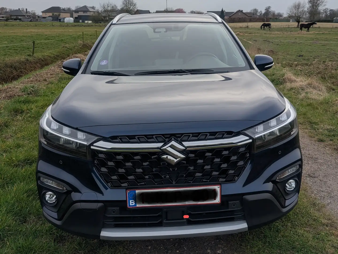 Suzuki S-Cross S-Cross 1.5 Dualjet Hybrid AGS Comfort Blauw - 1