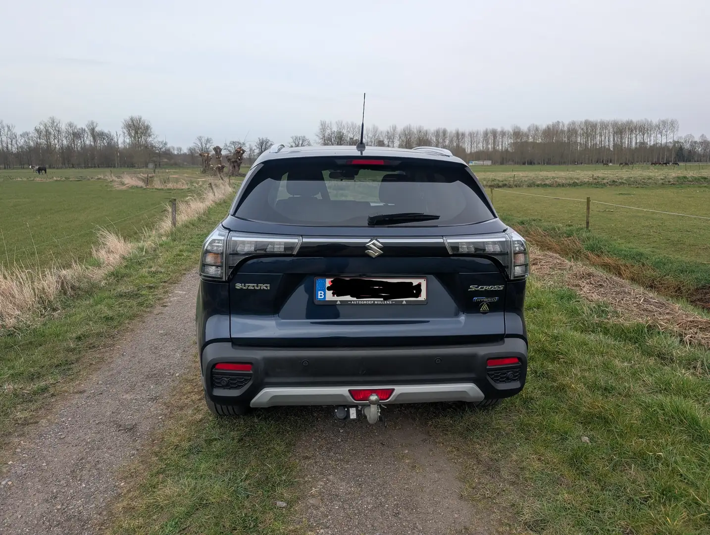 Suzuki S-Cross S-Cross 1.5 Dualjet Hybrid AGS Comfort Blauw - 2