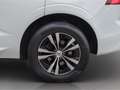 Volvo XC60 B4 Momentum PRO *AHK*Kamera*Winter-Paket* Wit - thumbnail 8
