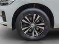 Volvo XC60 B4 Momentum PRO *AHK*Kamera*Winter-Paket* Wit - thumbnail 7