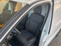 Renault Trafic Trafic Access L1H1 2,8t dCi 120 Weiß - thumbnail 7