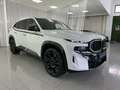 BMW XM 50e 350 kW (476 CV) Blanco - thumbnail 5