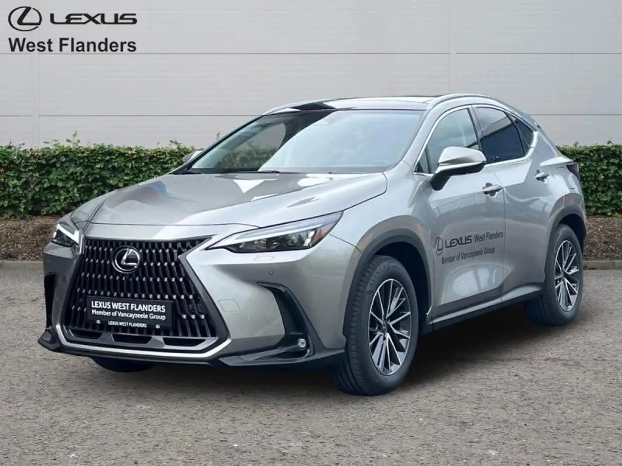 Lexus NX 2026