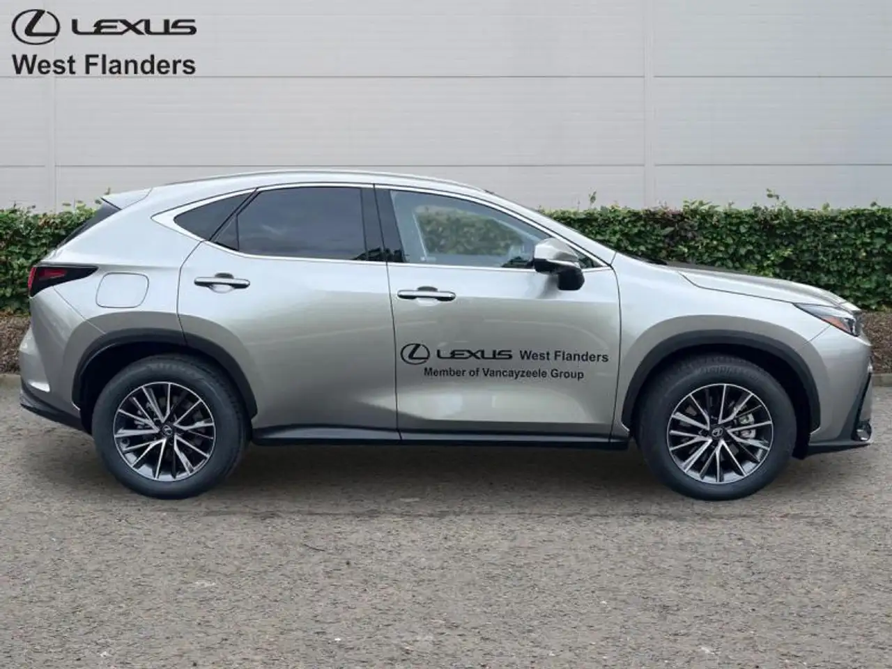 Lexus NX 2026