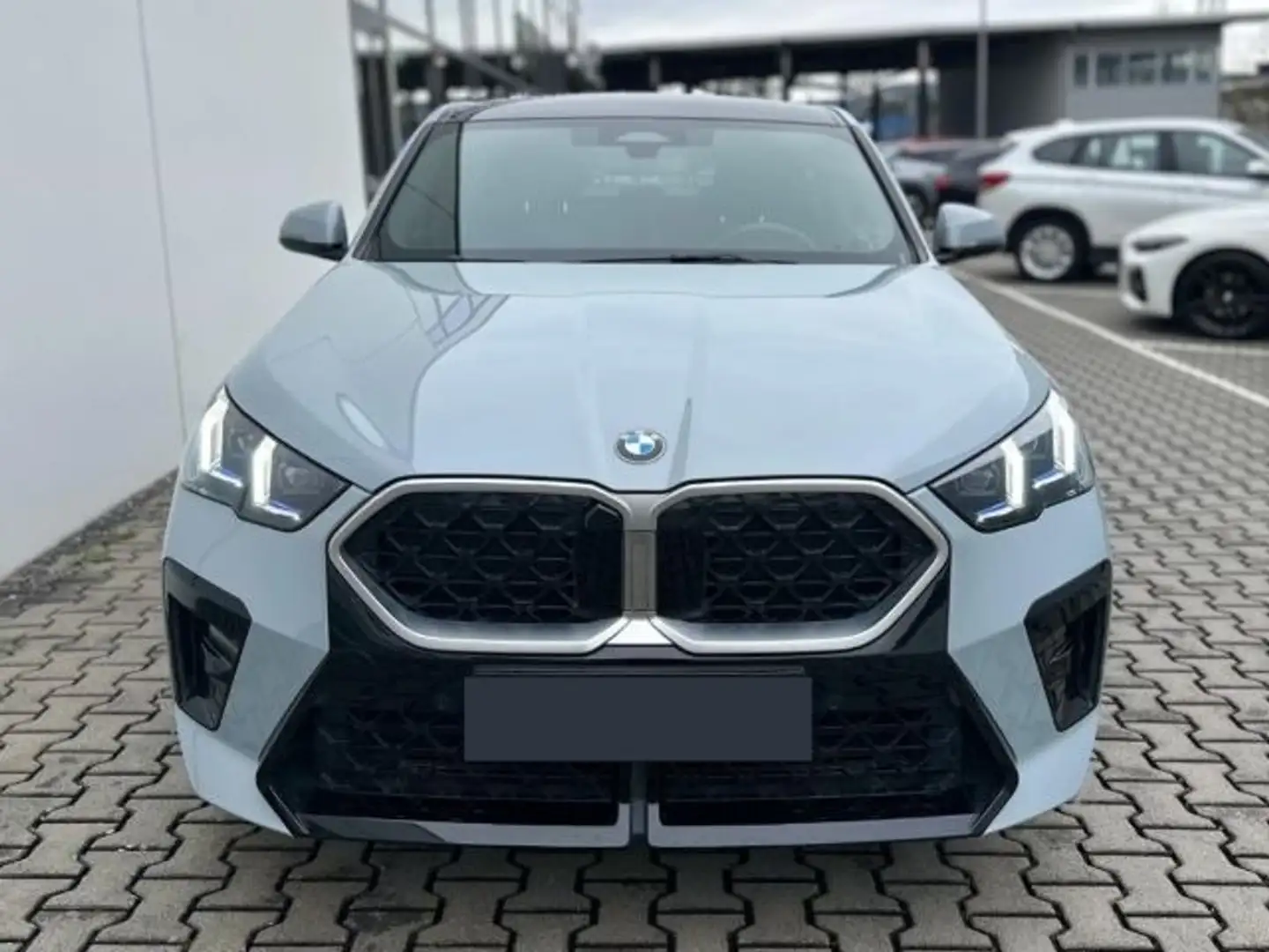BMW X2 sDrive 18d Msport Grigio - 2