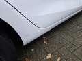 SEAT Leon Sportstourer Style 1,4 TGI Bivalent Weiß - thumbnail 14