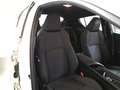 Toyota C-HR+ 1.8h Business e-cvt Blanco - thumbnail 13