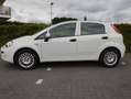 Fiat Punto Evo Punto 1.2 8V MyStyle Blanc - thumbnail 2
