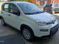 Fiat Panda 1.0 Hybrid 70 CV Bianco - thumbnail 7