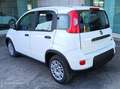 Fiat Panda 1.0 Hybrid 70 CV Bianco - thumbnail 3