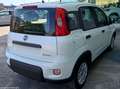 Fiat Panda 1.0 Hybrid 70 CV Bianco - thumbnail 5