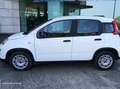 Fiat Panda 1.0 Hybrid 70 CV Bianco - thumbnail 2