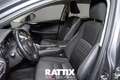 Lexus NX 300h 2.5 Hybrid 155CV Business 2wd cvt Grigio - thumbnail 7