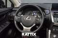 Lexus NX 300h 2.5 Hybrid 155CV Business 2wd cvt Grigio - thumbnail 9