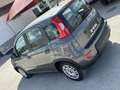 Fiat Panda 1.0 firefly hybrid City Life s&s 70cv - thumbnail 2