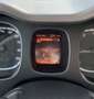 Fiat Panda 1.0 firefly hybrid City Life s&s 70cv - thumbnail 7