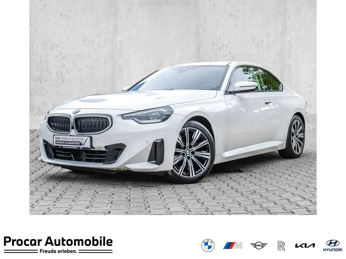 BMW 218 i 18" LM Widscreen PDC DAB Shadow-Line Wit - 1