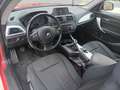 BMW 116 116d Sport Sport Rojo - thumbnail 11