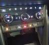 Skoda Karoq style 2.0 tdi 4x4 dsg Bianco - thumbnail 8