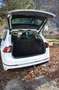 Volkswagen Tiguan Tiguan 2.0 tdi Executive 4motion 190cv dsg Bianco - thumbnail 4