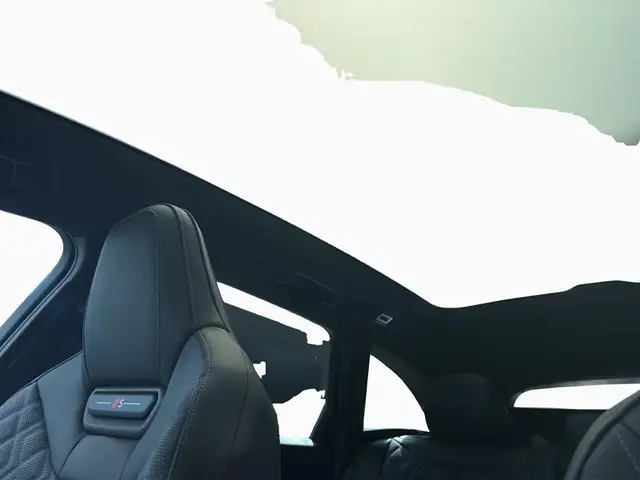 Audi S5 view 14