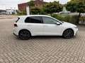 Volkswagen Golf Golg 8 GTE Wit - thumbnail 6