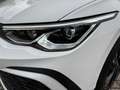 Volkswagen Golf Golg 8 GTE Wit - thumbnail 12