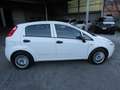 Fiat Punto Grande Punto Evo 1.4 Actual 5p 131.000 KM REALI * Weiß - thumbnail 4