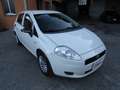 Fiat Punto Grande Punto Evo 1.4 Actual 5p 131.000 KM REALI * Weiß - thumbnail 3