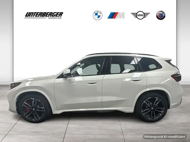 BMW X1 view 3